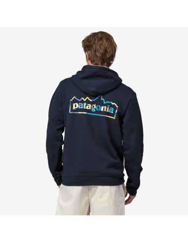 Patagonia - Unity Fitz Uprisal Hoody - birch white - Sweatshirt hommes 2024